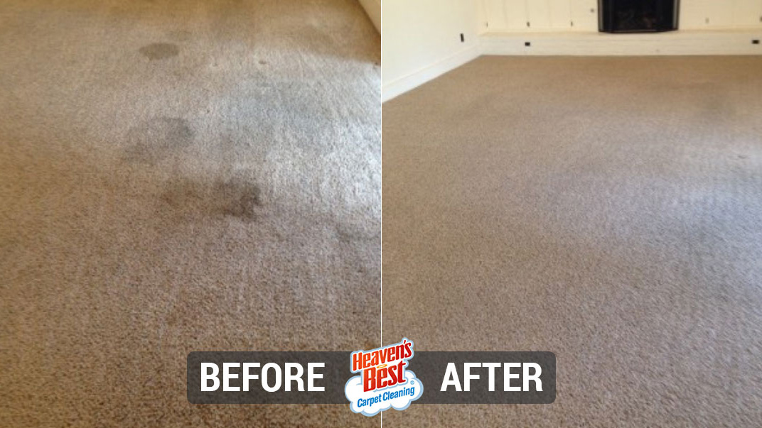 Heaven's Best Carpet & Upholstery Cleaning of Louisville