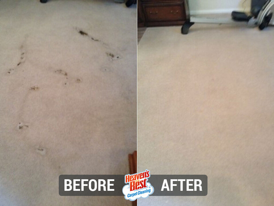 Heaven's Best Carpet & Upholstery Cleaning of Louisville