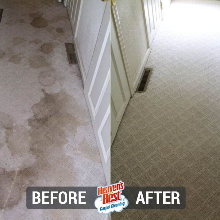 Heaven's Best Carpet & Upholstery Cleaning of Louisville